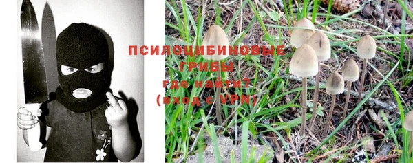 а пвп мука Гусиноозёрск