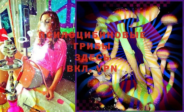 бутират Гусь-Хрустальный