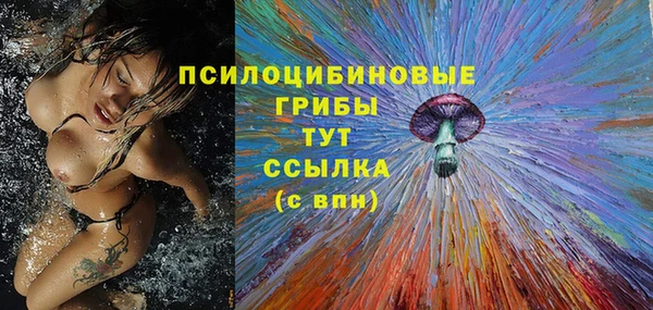 а пвп мука Гусиноозёрск