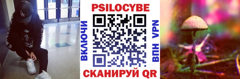 Псилоцибиновые грибы Cubensis Междуреченск