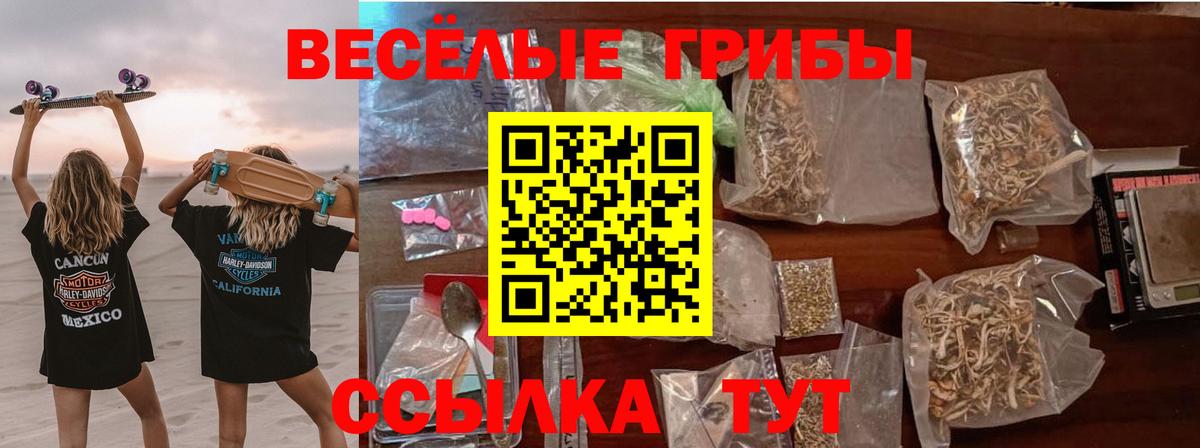 Галлюциногенные грибы Psilocybe Междуреченск