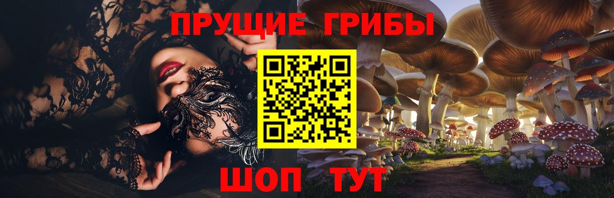 Междуреченск  Галлюциногенные грибы MAGIC MUSHROOMS  Вход с VPN 