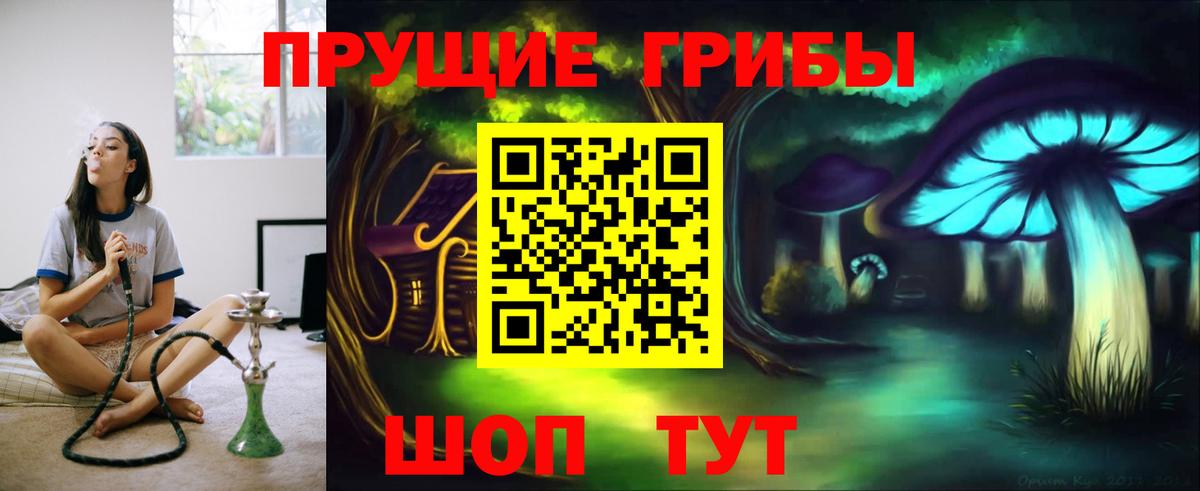 Галлюциногенные грибы Magic Shrooms  Междуреченск  купить наркоту  Галлюциногенные грибы Psilocybe 